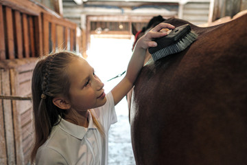 A teenage girl rider washes and brushes a horse in stable.