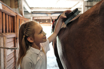 A teenage girl rider washes and brushes a horse in stable.
