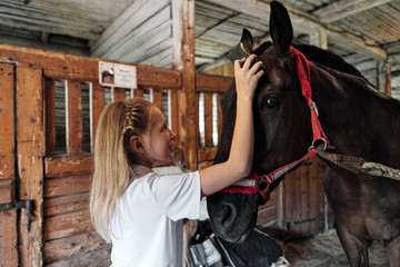 A teenage girl rider washes and brushes a horse in stable.