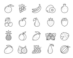 Fruit berry food orange kiwi line icon vector set