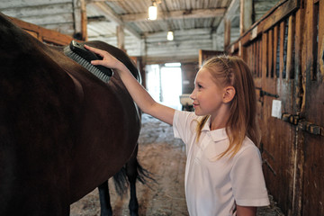 A teenage girl rider washes and brushes a horse in stable.