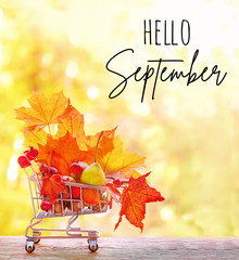 Hello September. fall season concept. harvest time, autumn sales. maple leaves, acorns, berries and pear in supermarket cart. close up, shallow depth, soft selective focus