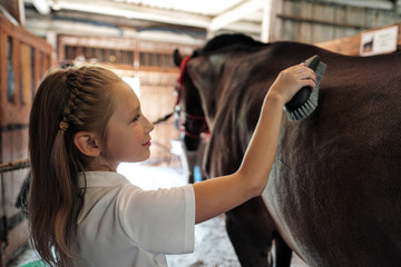 A teenage girl rider washes and brushes a horse in stable.