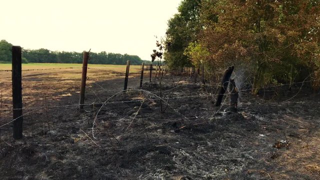Farmland on fire due to drought, Loon op Zand, the Netherlands