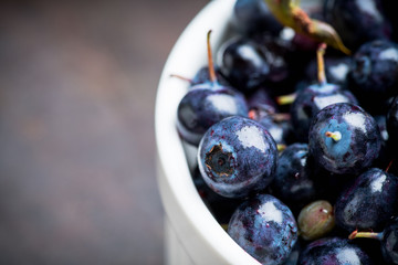Freshly harvested wild blueberries in bowl. Selective focus. Shallow depth of field.