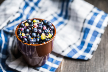 Freshly harvested wild blueberries in bowl. Selective focus. Shallow depth of field.