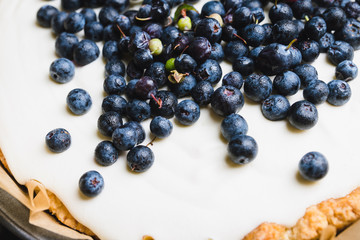 Fresh cheesecake with wild blueberries on the rustic background. Selective focus. Shallow depth of field.