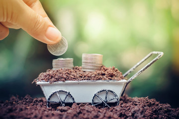  Close up of hand putting coins in stack of coins is growing up on wheel barrow for business investment or saving concept