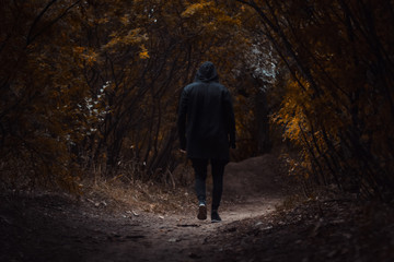 A man in a black robe and hood walks in the forest. Back view.  - obrazy, fototapety, plakaty