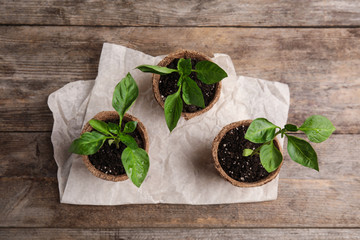 Vegetable seedlings in peat pots on wooden table, flat lay