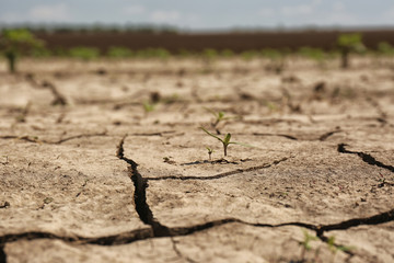 View of cracked ground surface on sunny day