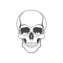 Vector graphic logo concept. Human skull. Symbol emblem, element, print.