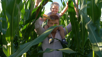 Happy family: young father with his little children walking inside corn field at warm summer evening. Son sitting on father's shoulders. Concept of: Inside, Corn field, Farmer, Playing.