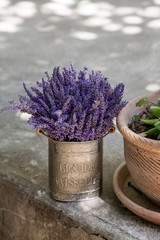 Lavender Flowers In Vintage Tin Vase
