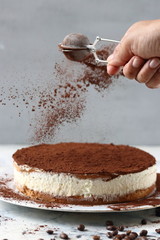 Tiramisu , Tiramisu cheesecake