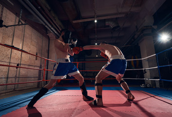 Two adult boxers practicing kickboxing in the ring at the sport club