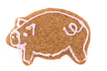 christmas ginger bread pig isolated