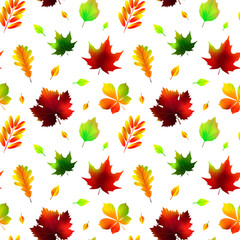 Fototapeta na wymiar Autumn leaves seamless pattern isolated on white. Vector illustration