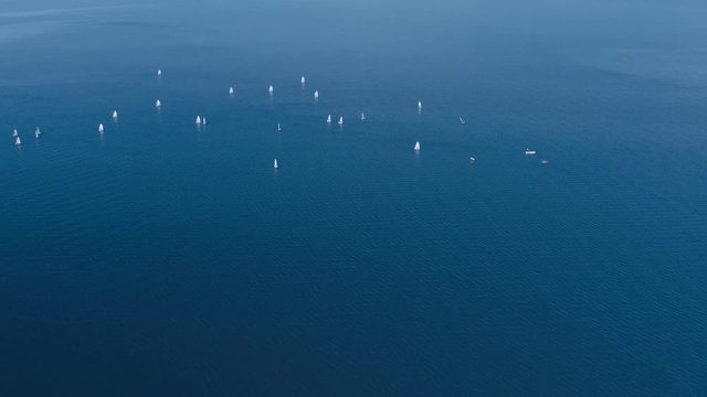Lot of sailing yachts sail open sea oceans. Sport navigation regatta competition. Freedom extreme tour. Associated wind blue water horizon. Aerial Drone Top