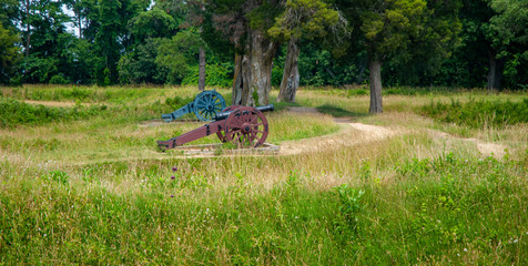 Yorktown cannon in forest
