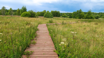 Nature trail boardwalk in the field. Outdoor recreational activities, eco trail. Russia