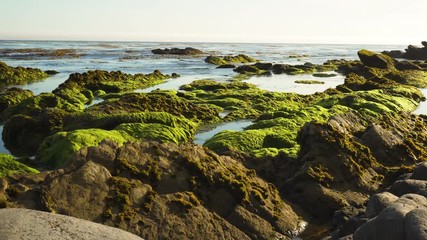 Tide Pool Sunset, Eldwayen Ocean Park, Pismo Beach, California	