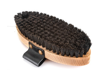 brush for horse