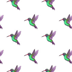 Sketch hand drawn pattern with hummingbird. Animals illustration colibri birds.