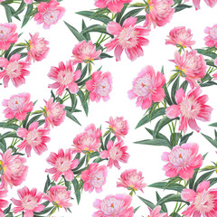 Seamless pattern with beautiful pink peonies isolated on white. 