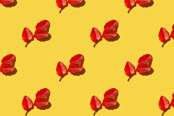Pattern made of red autumn leaves on yellow background. Creative layout.