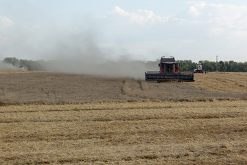 Fototapeta na wymiar Combine in the field removes ripe rye or wheat. Summer season.