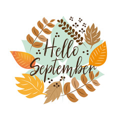 Hello September autumn text, hand drawn, different colored autumn leaves wreath, on white backgrond. Vector illustration as poster, postcard, greeting card, label. © Regina