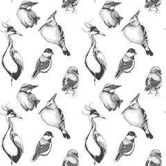 Sketch hand drawn pattern with heron, hoopoe, Blue jay, Erithacus rubecula, magpie. Animals illustration birds. © artmary