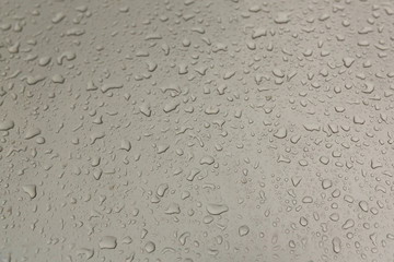 Drops of water on the grey, waxed hood of the car, after the rain.