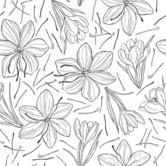 Obraz premium Vector seamless pattern with hand drawn saffron spice.
