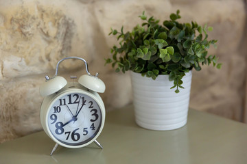White mechanical alarm clock standing on the nightstand drawer next to the potted plant in a pot.