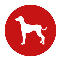 Prohibition dog red circle sign. Breed dalmatian. Vector illustration isolated on white