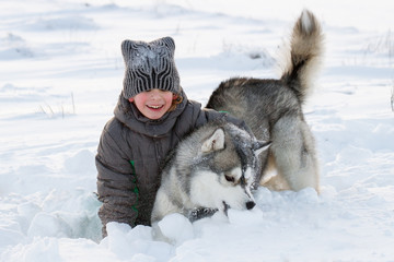 Happy boy playing with a husky dog.