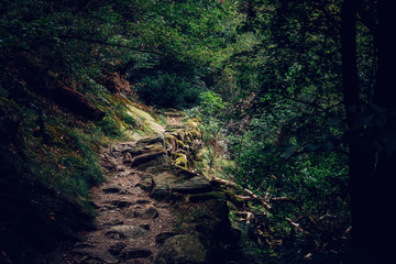 Dunkle Wanderwege im Bodetal Harz