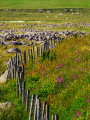 Obraz premium Coastline in south Norway, national road Jaeren