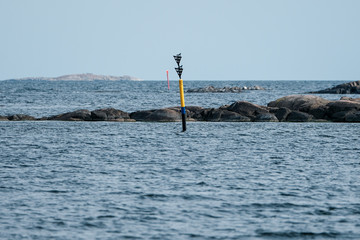 Navigation Buoy on Swedish Coast