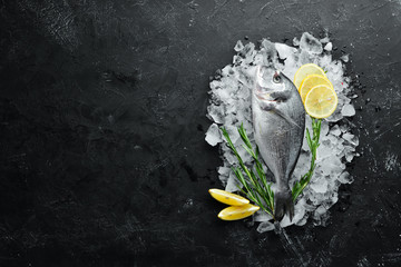 Dorado fish with lemon and rosemary on ice. Top view. Free space for your text.