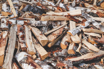 Pile of drying split firewood ready for the winter
