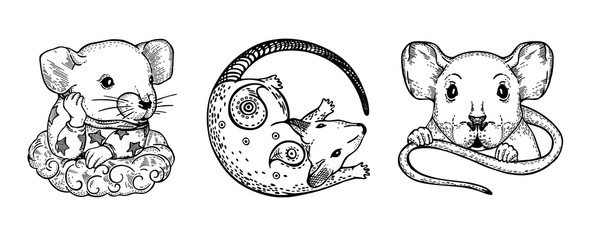 Set of vector images of rats. The sign of the eastern horoscope.