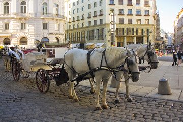 Naklejka na ściany i meble Traditional coach (Fiaker) in Vienna, Austria