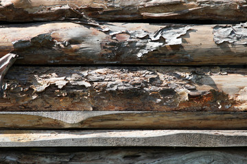 Natural wooden logs with bark