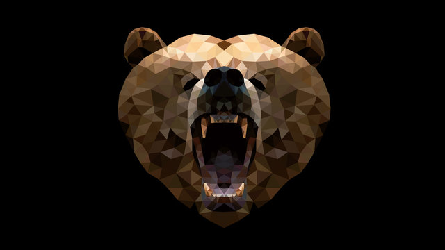 Geometric Animal - Bear wallpaper