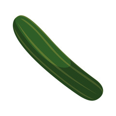 cucumber cooking icon on white background
