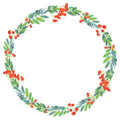 Autumn mountain ash floral wreith on a  white background.  Hand painted in watercolor.