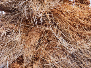 coconut shell is a beautiful texture